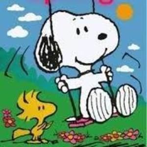 Meet your Posher, Terri